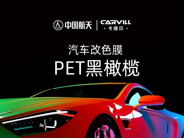 PET黑橄榄