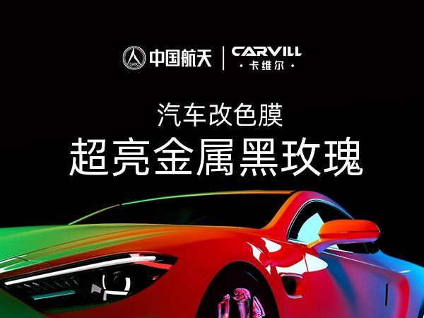 超亮金属黑玫瑰
